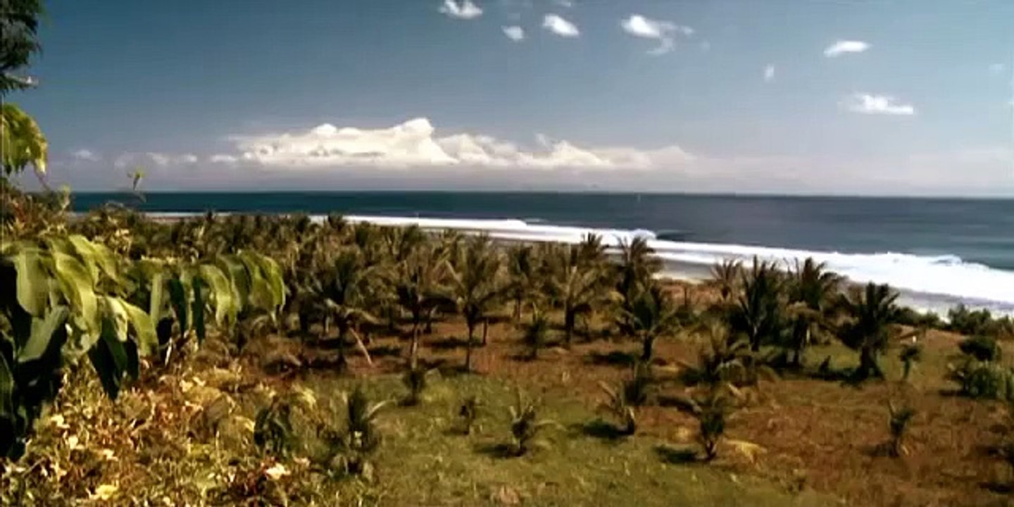 The Drifter - Rob Machado