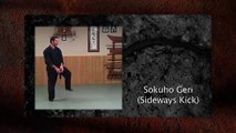 Ninja Training: Kicking - Keri Demonstration, 8th Kyu, Ninjutsu, Bujinkan