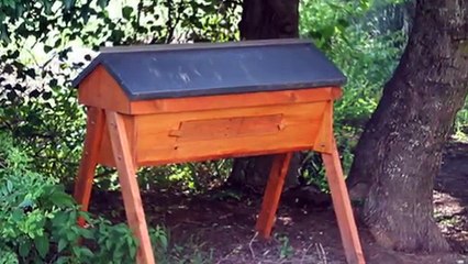How to Get Natural Comb in Langstroth Hives Using Frames