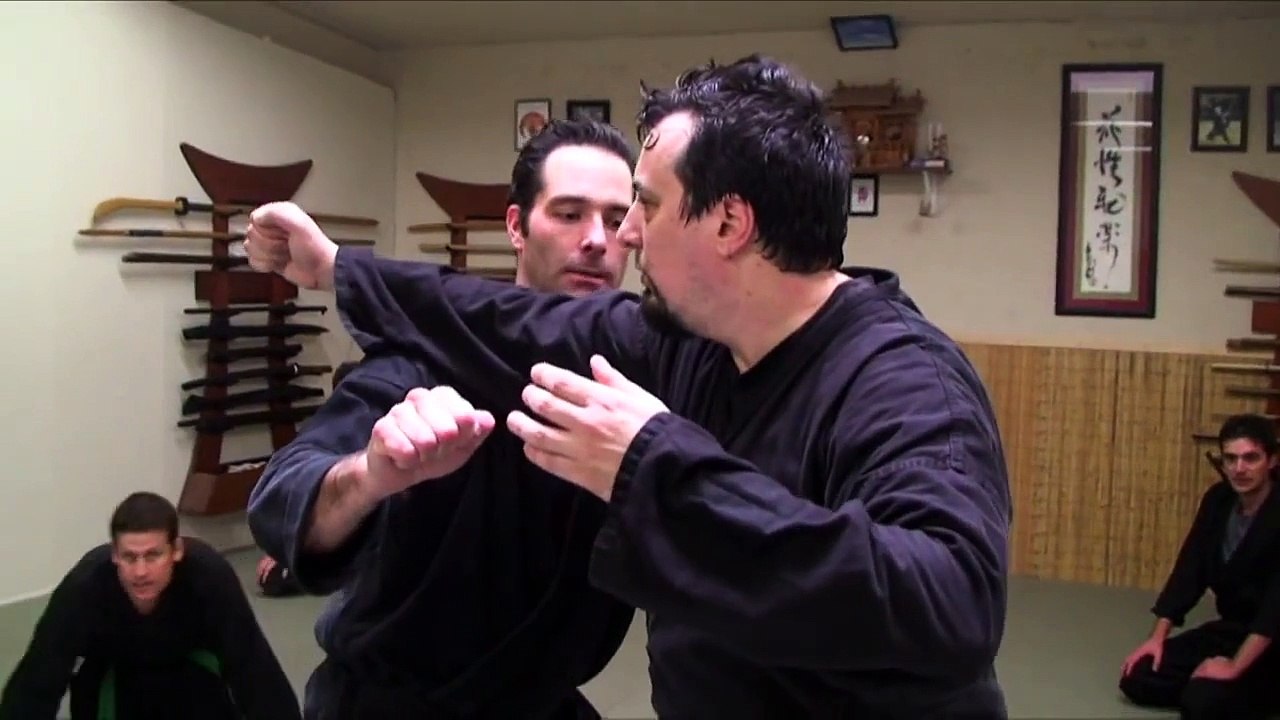 Ninjutsu - Kihon Happo - Flow Session - Ninja Training Free Video Blog - Bujinkan