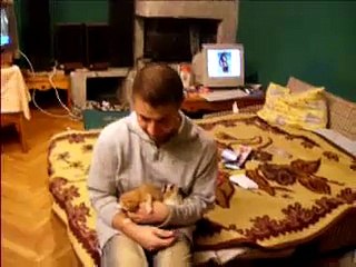 Little kittens and their mom