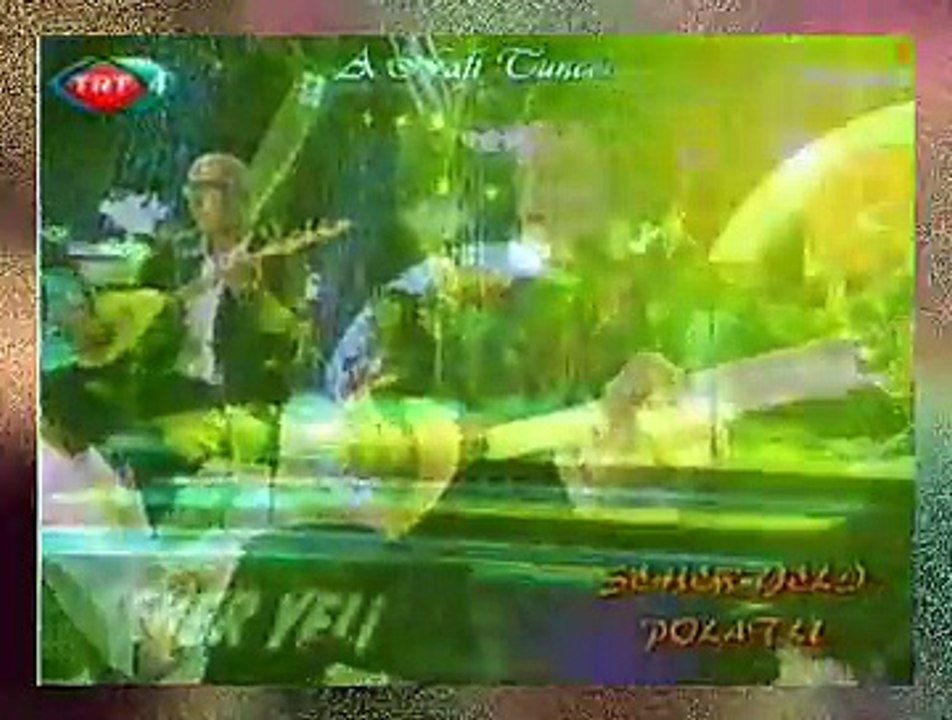 Belkıs AKKALE *Eşinden Ayrılan Yaralı Ördek*