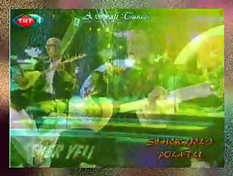 Belkıs AKKALE *Eşinden Ayrılan Yaralı Ördek*