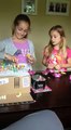 Maddie and Sydney blind basket Shopkins
