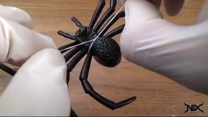 How To Pull Off a Halloween Spider Prank!!! (MUST TRY)