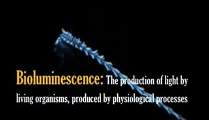 Light in the Darkness ?