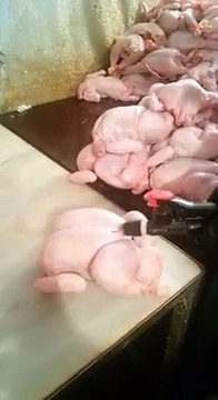 (1) -ثقف نفسك-Amezing video(letest 2015)