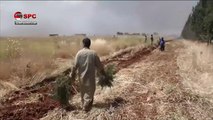 تراجع إنتاج سوريا من القمح