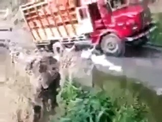 Trucks Falling Off The Cliff