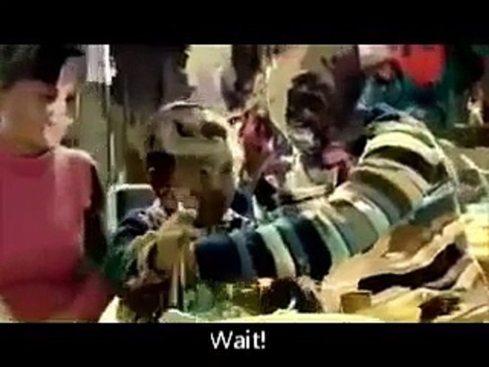 "Chopsticks"-- Blissful taste of Chinese culture (CCTV PSA)  央視春晚公益廣告《筷子篇》