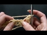 Crochet Seed Stitch Scarf (and Stitch Pattern)