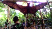 GIANT BAT CAPTURED IN PHILIPPINES