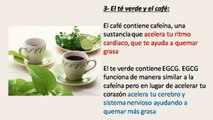 Alimentos que queman grasa y aceleran el metabolismo