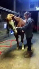 Me making my horse bow