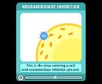 Neuraminidase inhibitor