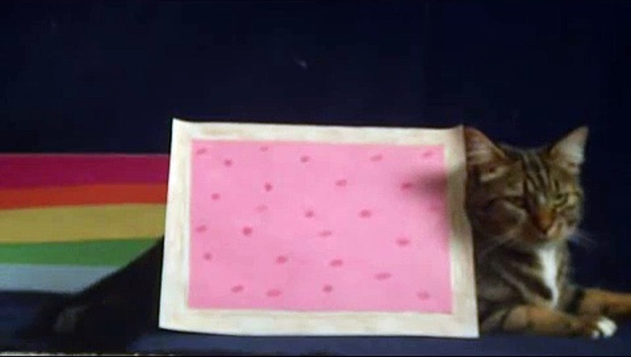 Real Life Nyan Cat