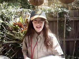 My Pie Drive For Steve Irwin's WildLife Warriors
