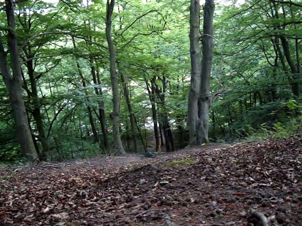 Run du 18.06.2015