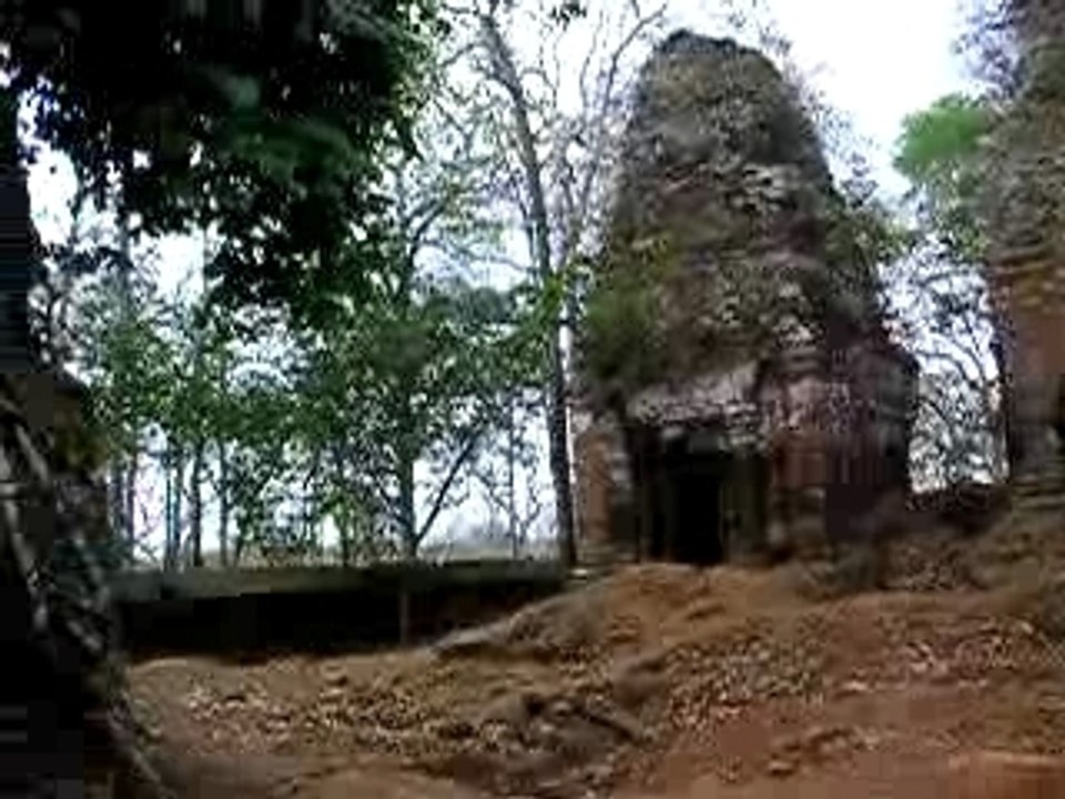 Dans la jungle de Siam Reap