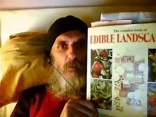 Growing Your Own Tea