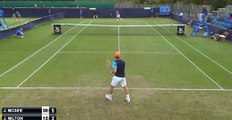 Gatto entra in campo da tennis