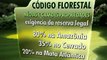 Jornal Nacional: projeto que muda Código Florestal é aprovado na Câmara