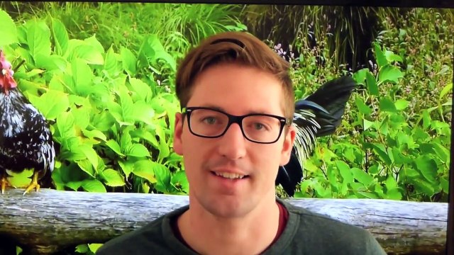 Alte Nutztierrassen Folge 24: Chinesische Höckergans, Gänse Rasse, Schwanengans Tier Doku