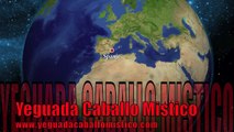 Yeguada Caballo Mistico Monique Traint Selecto lange teugel werk Piaffe Passage Spaanse pas
