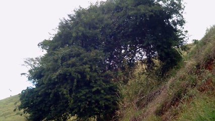 Trilhas Mtb, com os amigos em trilhas de bikers, Brasil