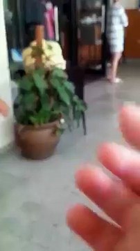 حصري بالفيديو :o : إقتحام الأمن التونسي لوكر للفطارا بقمرت :o شاهد ماحدث ....