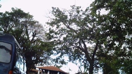 Trilhas Mtb, com os amigos em trilhas de bikers, Brasil