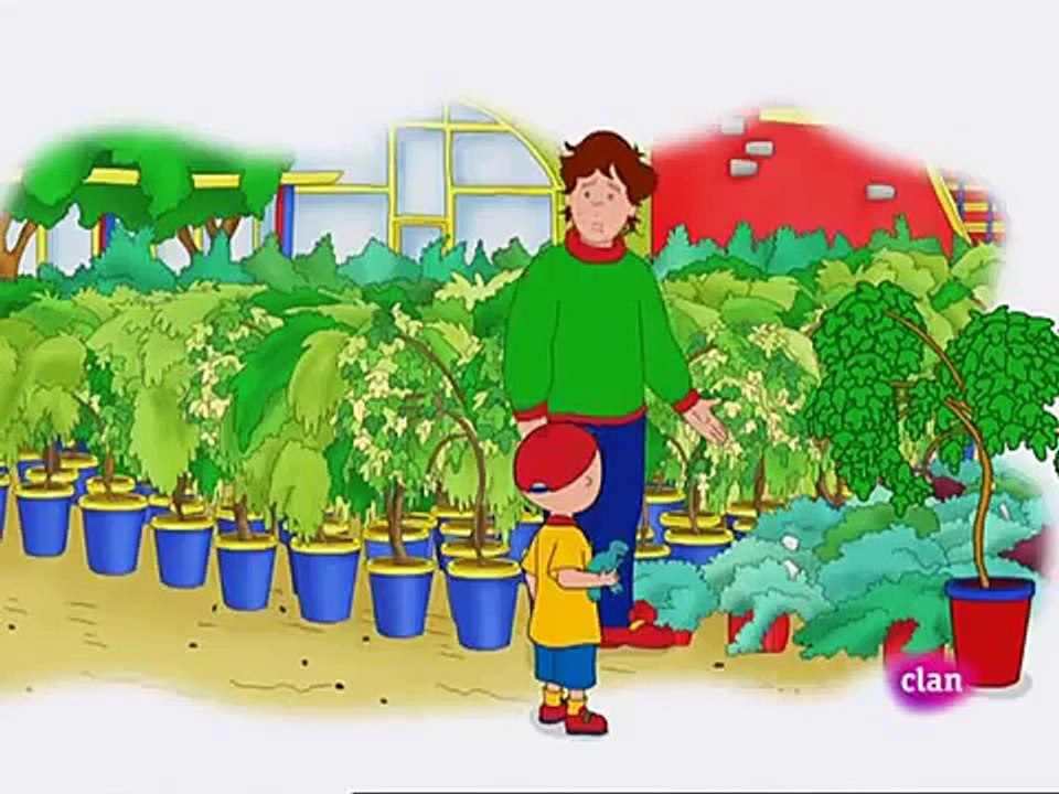 Caillou 8x41 El Árbol De Caillou