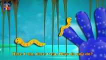 The Finger Family Butterfly Family Nursery Rhymes | Butterfly Finger Family Songs