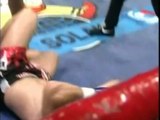 Mark Hunt vs. Hiromi Amada (K-1 WGP In Melbourne 2001)