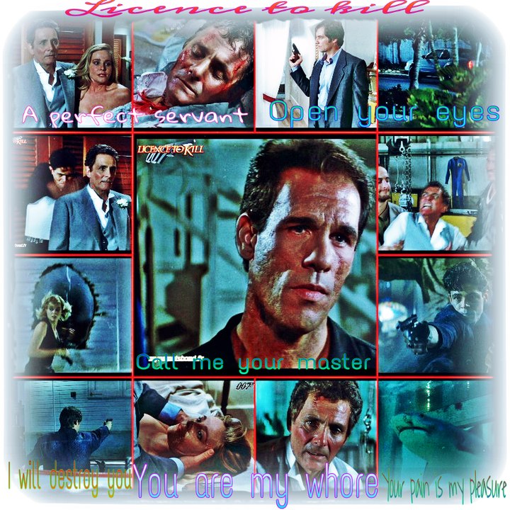 - LICENCE TO KILL - *** Perfect Servant ***
