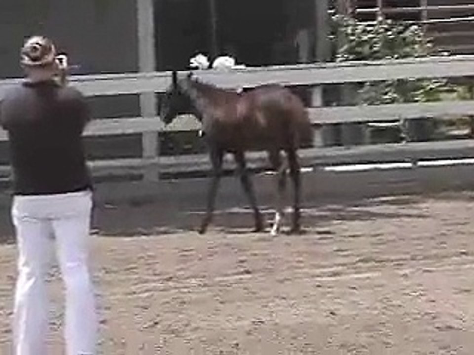 Larkspurs inspection for Weser Ems