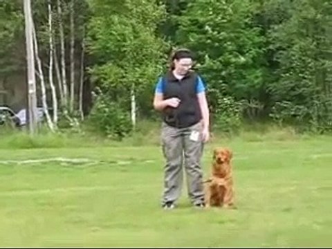 Tävling Nordmaling Chaos 080712