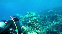 GoPro Hero 4 Underwater - Scuba Diving Bahamas