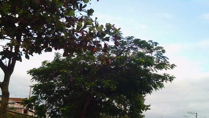 Trilhas Mtb, com os amigos em trilhas de bikers, Brasil