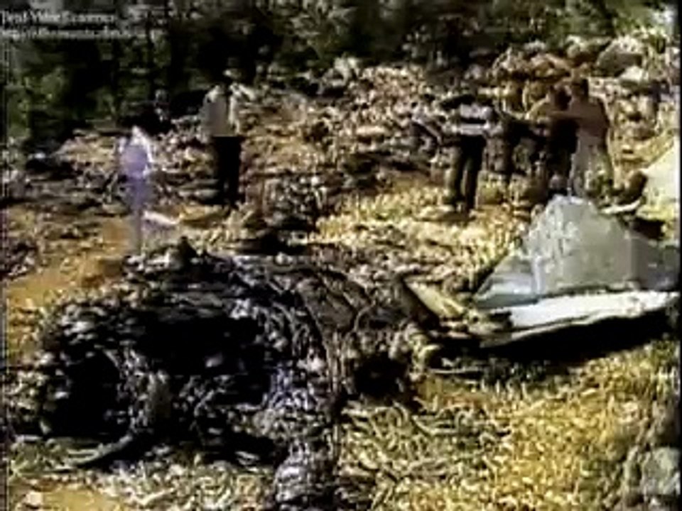 lebanon war 14 of 85