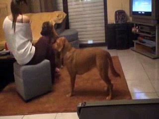 Pritsa & Bella clicker training (2)