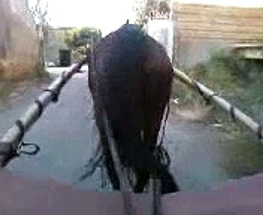Video0092
