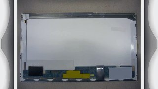 DELL NVJV5 LAPTOP LCD SCREEN 17.3 WXGA   LED DIODE (SUBSTITUTE REPLACEMENT LCD SCREEN ONLY.
