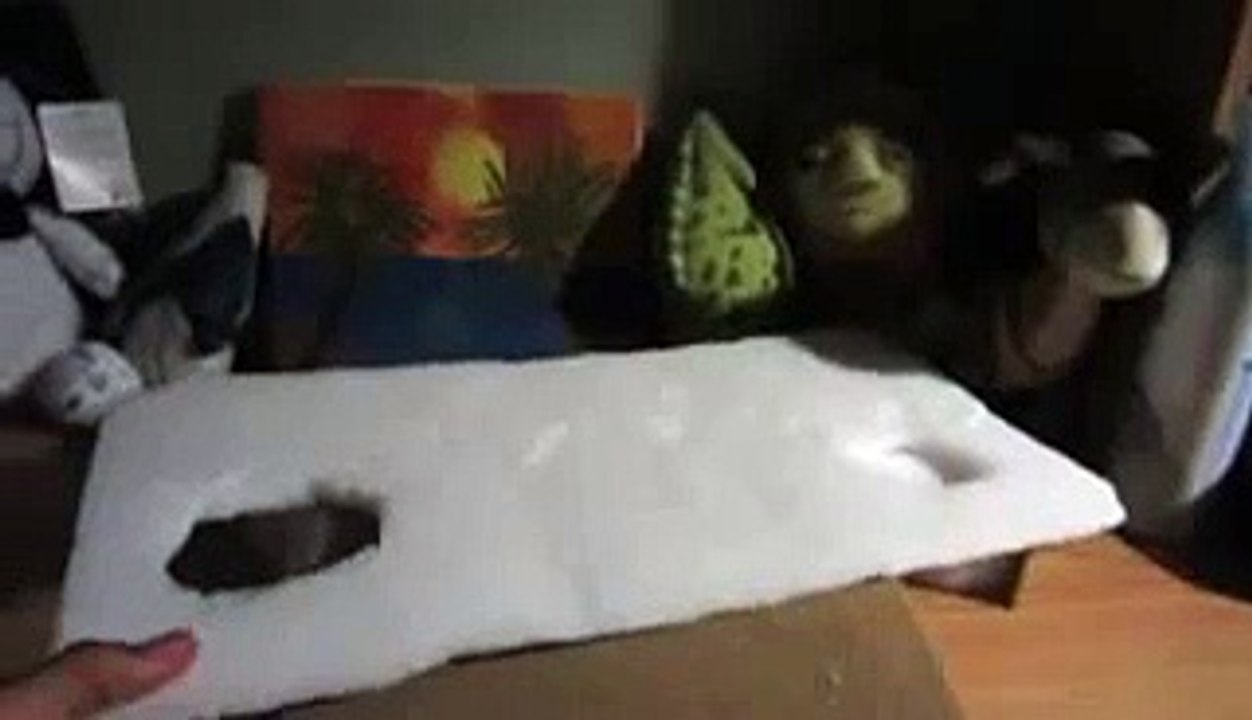 leopard gecko setup 40 gallon