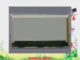 GATEWAY NV53A LAPTOP LCD SCREEN 15.6 WXGA HD LED DIODE (SUBSTITUTE REPLACEMENT LCD SCREEN ONLY.