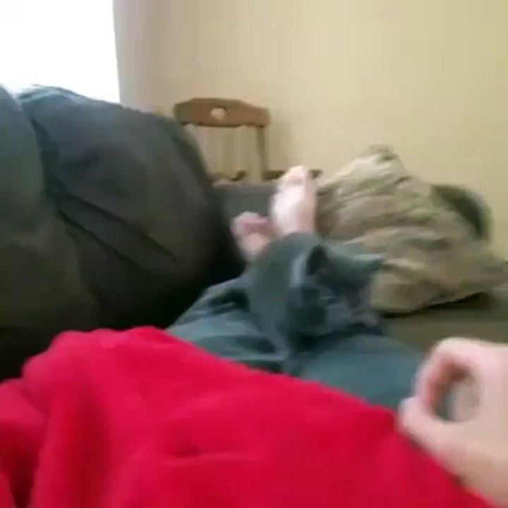 videos funny