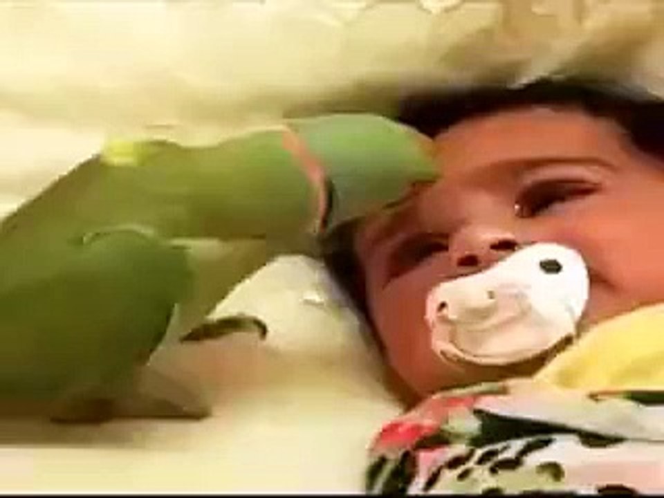 comedy-funny video-baby