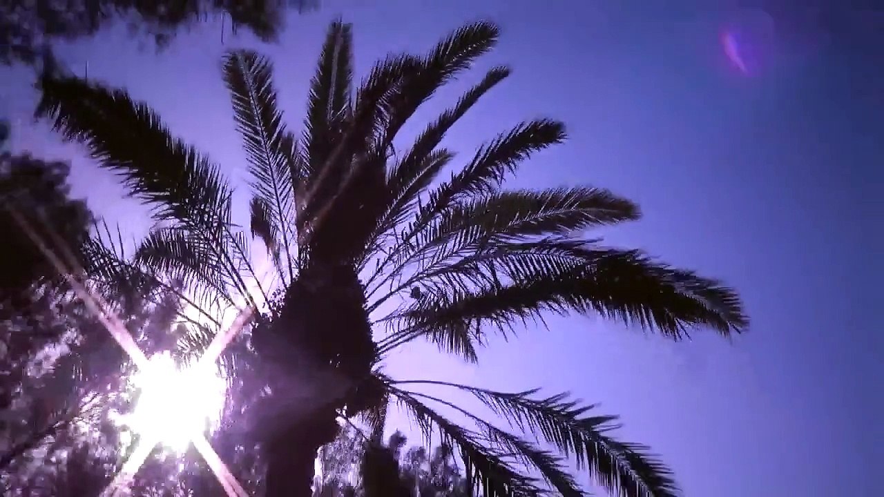 الصيد في العراق (صيد على الطاير) مصطفى الشبح وعلاوي الصياد