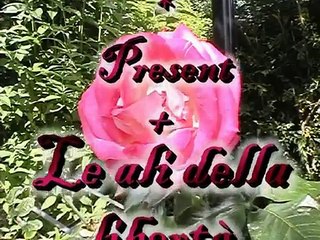 Le ali della Libertà