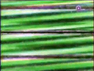 Animal Planet al Extremo   Bocones 2   5